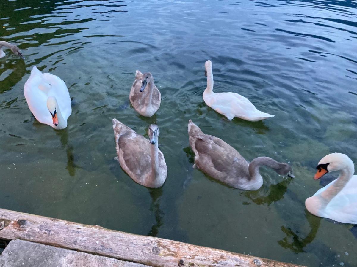 Hallstatt Lakeside Top 2 - Zimmer Mit Gartenzugang エクステリア 写真