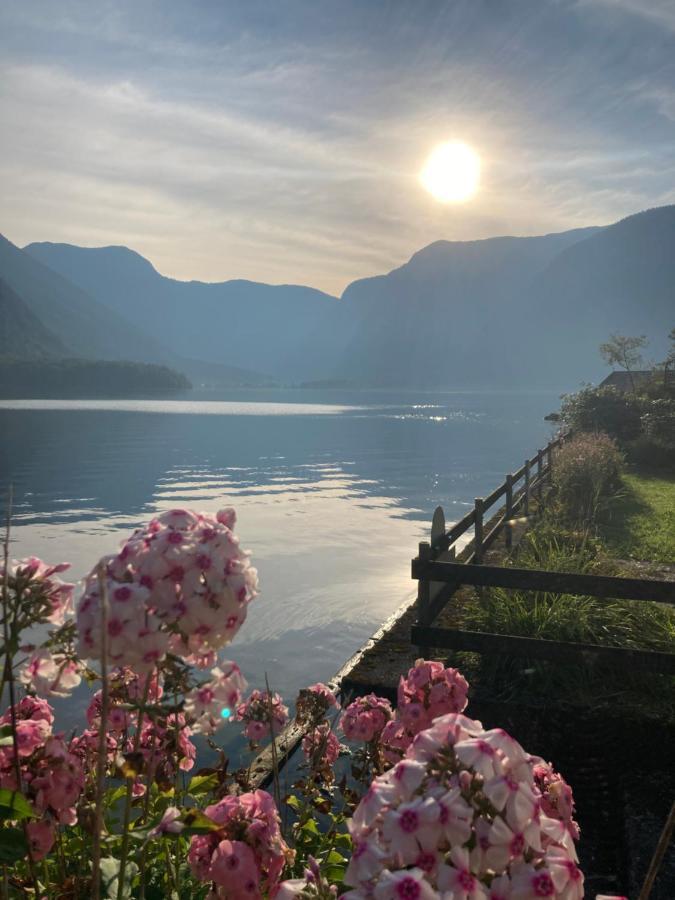 Hallstatt Lakeside Top 2 - Zimmer Mit Gartenzugang エクステリア 写真